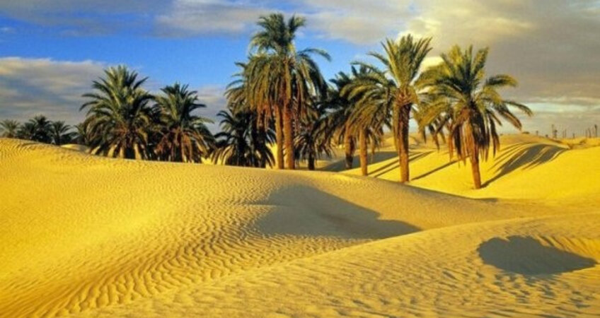 tunis007
